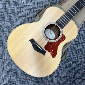 taylor-gs-minimpltd2012