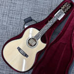 asturias-tree-of-life2