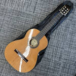 aria-a-50c