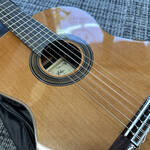 aria-a-50c