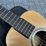journey-guitars-overhead-oc520