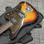 fender-japan-jm66dp2h-3ts