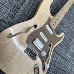 triadz-custom-guitar-st-hollow