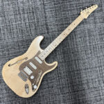 triadz-custom-guitar-st-hollow