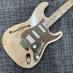 triadz-custom-guitar-st-hollow