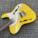 triadz-custom-guitar-tl-hollow