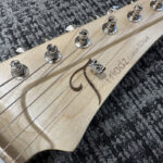 triadz-custom-guitar-st-hollow