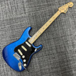 fernandes-burny-custom