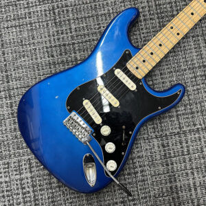 fernandes-burny-custom