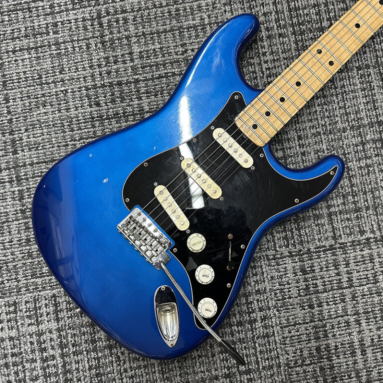 fernandes-burny-custom