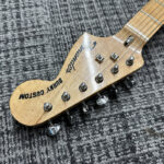 fernandes-burny-custom
