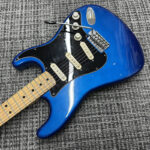 fernandes-burny-custom