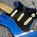 fernandes-burny-custom