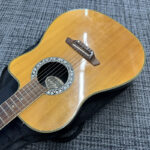 aria-amb-50c-n