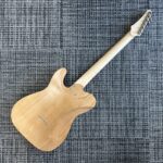 triadz-custom-guitar-tl-modern-custom