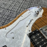 triadz-custom-guitar-tl-modern-custom