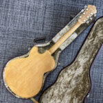 ibanez-gb10-gorge-benson-1986