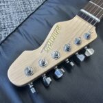 edwords-e-snapper-alr-lake-placid-blue