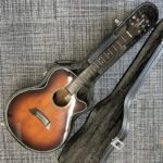 takamine-pt-106