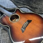 takamine-pt-106