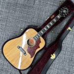 gibson-customshop-firebird-acoustic-2003