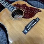 gibson-customshop-firebird-acoustic-2003