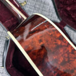 gibson-customshop-firebird-acoustic-2003