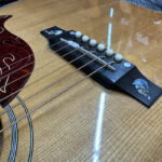 gibson-customshop-firebird-acoustic-2003