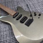 fernandes-apg-65s